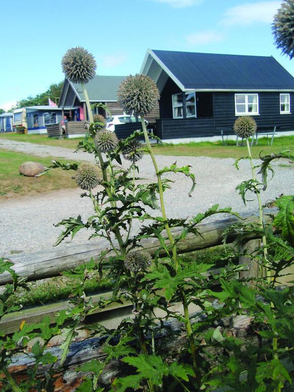 Toftum Bjerge Camping & Cottages Humlum Szoba fotó